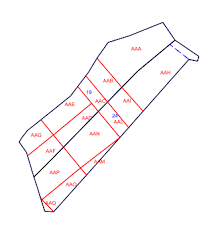 immagine home sito.jpg