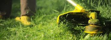 immagine home sito.jpg