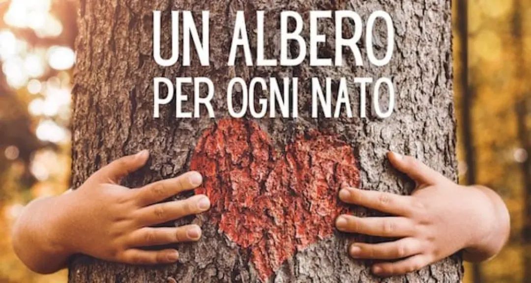 Per ogni bambino che nasce, un albero metter&agrave; radici nella nostra citt&agrave;.