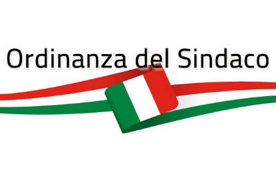 Ordinanza n. 14 del 20/10/2026