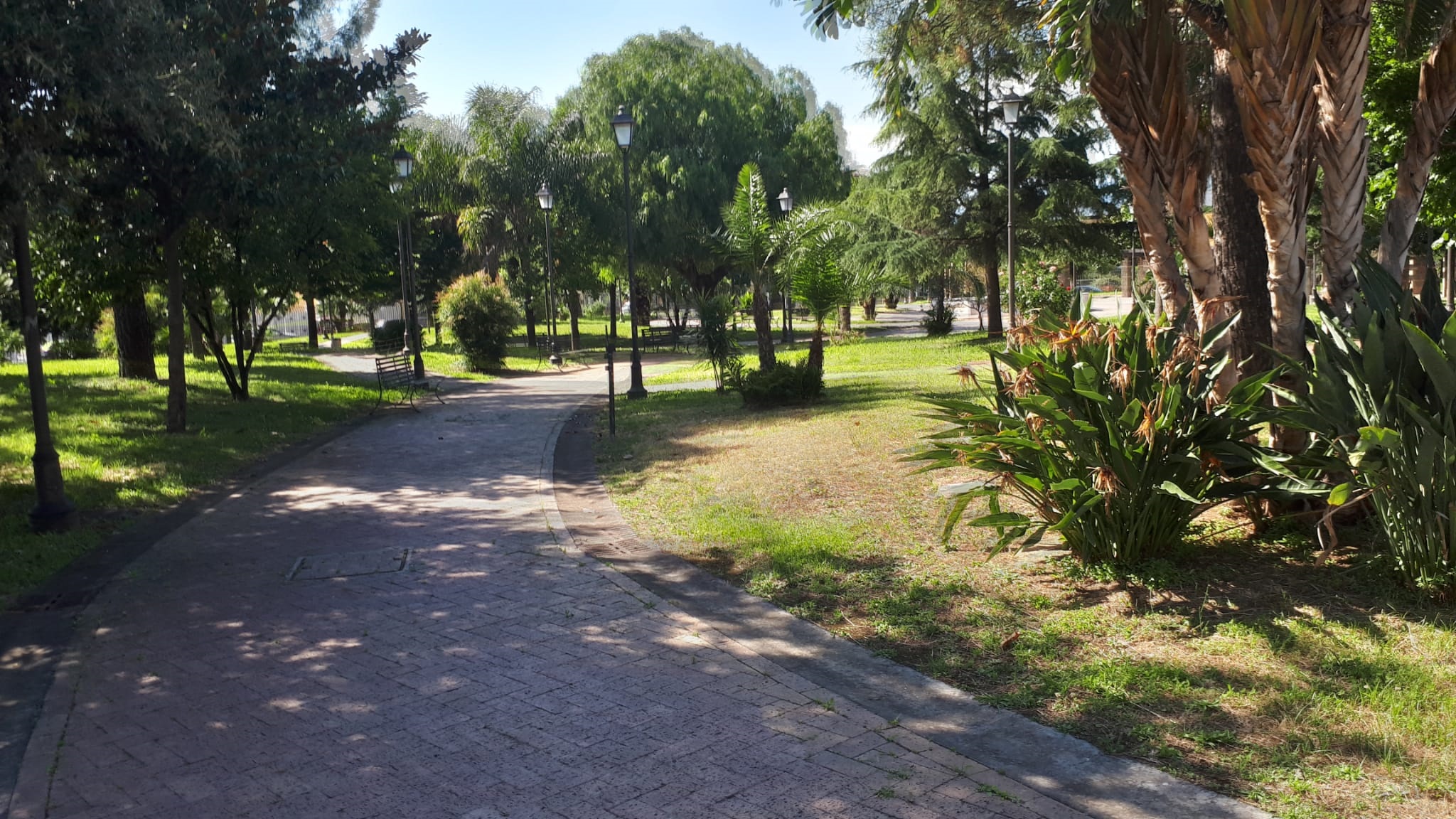 immagine home sito.jpg